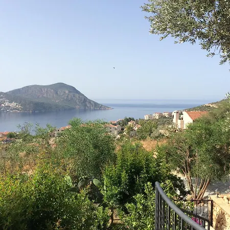 Meltem Kalkan
